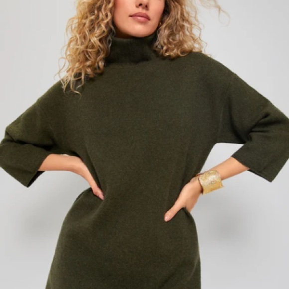 Tuckernuck Sweater Dress Pomander Place Vivianne Turtleneck Mini Sz XS - Picture 9 of 14